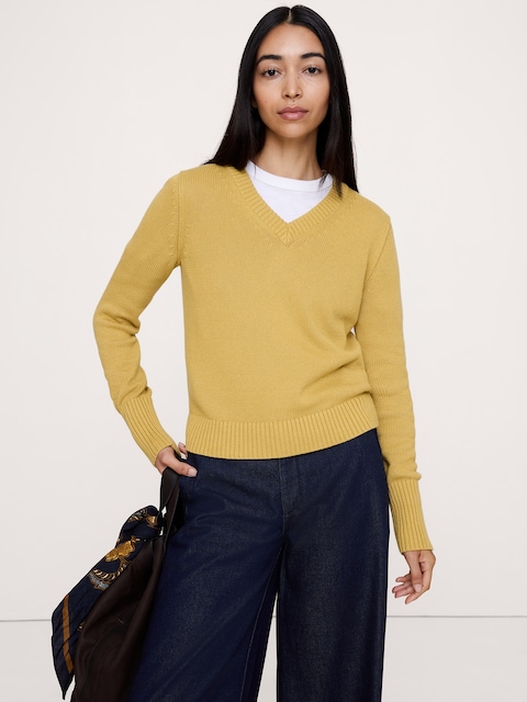 Larkspur Cotton-Silk V-Neck Sweater