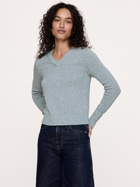 Larkspur Cotton-Silk V-Neck Sweater