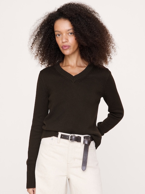 Larkspur Cotton-Silk V-Neck Sweater